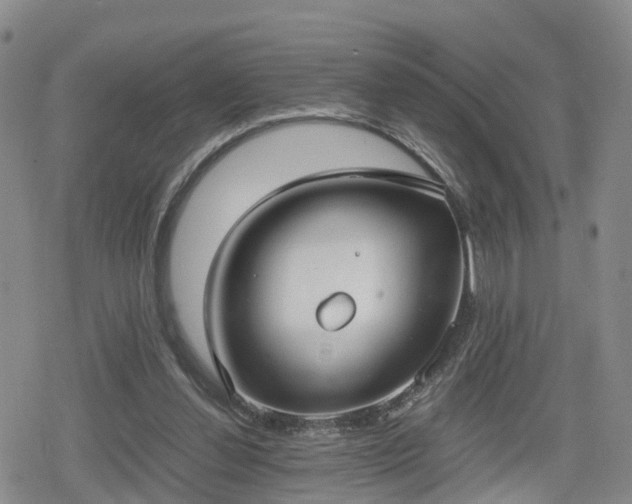 X0000078840252200611201320