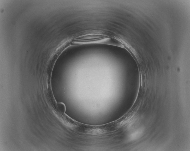 X0000078840253200611201320