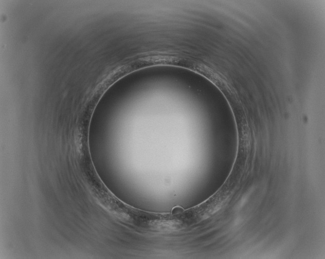 X0000078840255200611201320