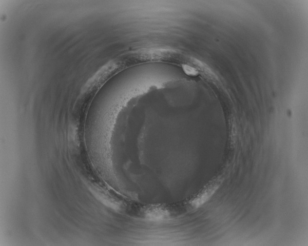 X0000078840258200611201320