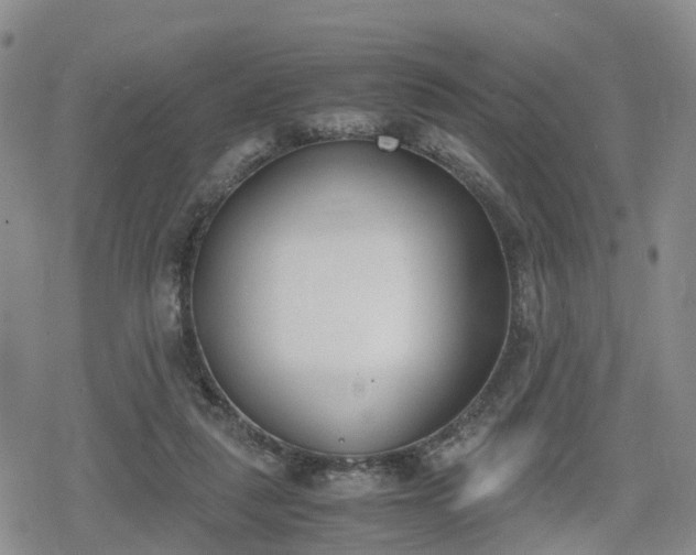 X0000078840259200611201320