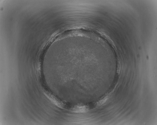 X0000078840260200611201321