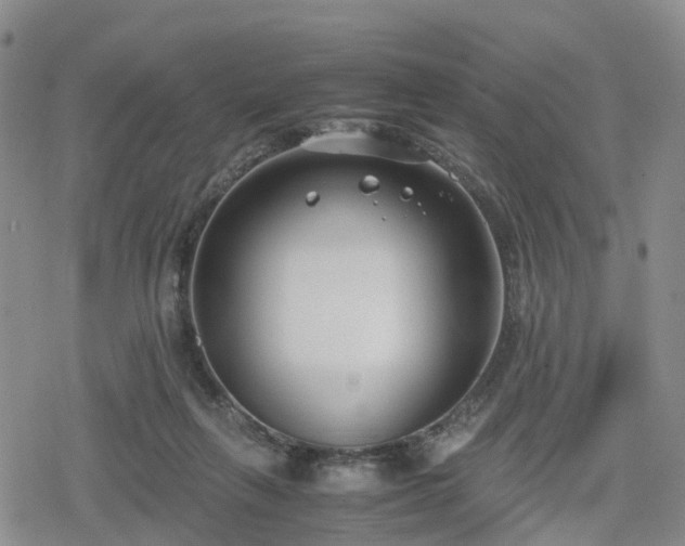 X0000078840263200611201321