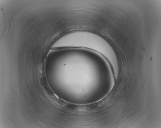 X0000078840264200611201321