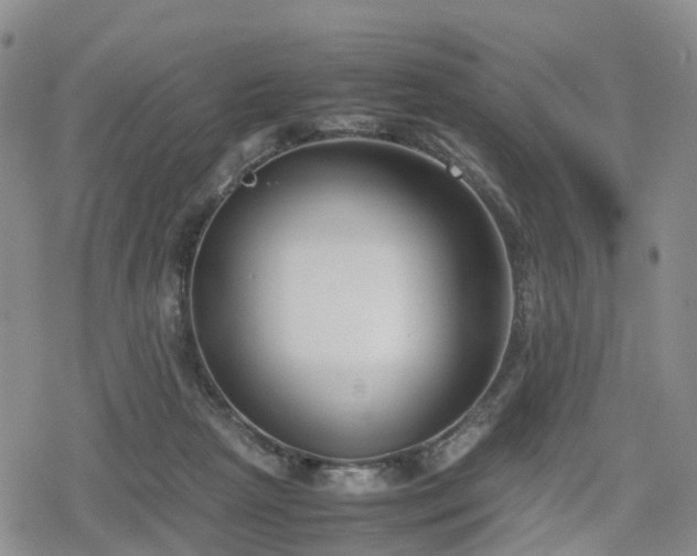 X0000078840265200611201321