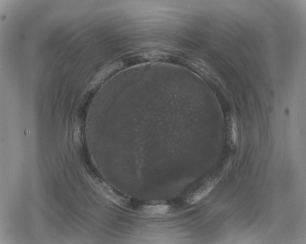 X0000078840266200611201321