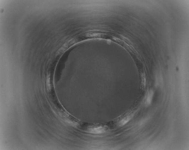 X0000078840267200611201321