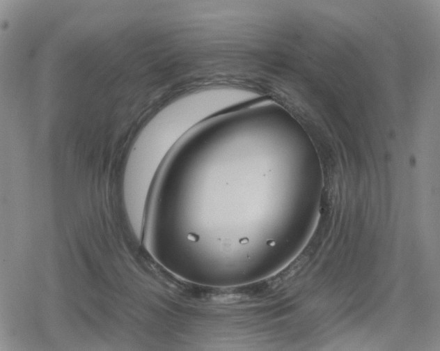 X0000078840268200611201321