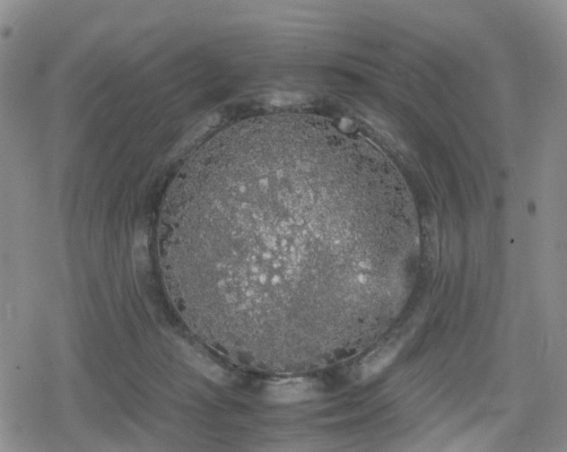 X0000078840269200611201321