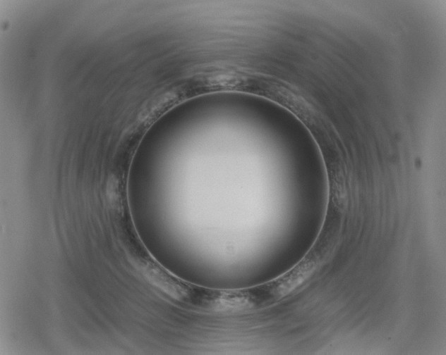 X0000078840270200611201321