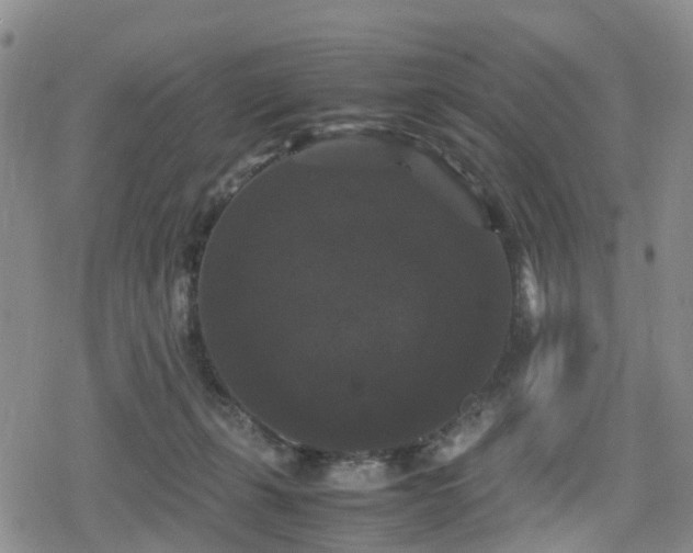 X0000078840271200611201321