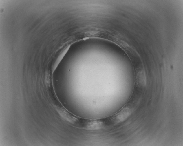 X0000078840274200611201321