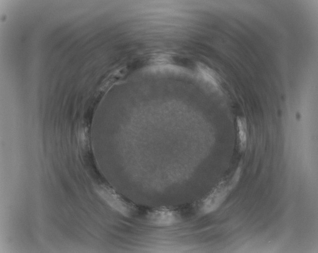 X0000078840276200611201321