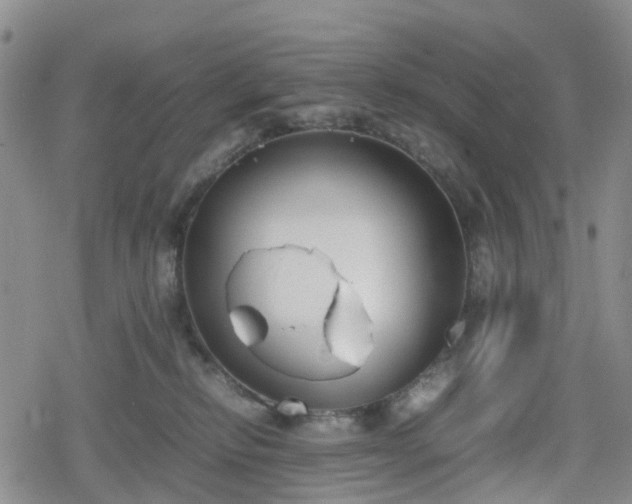 X0000078840278200611201321