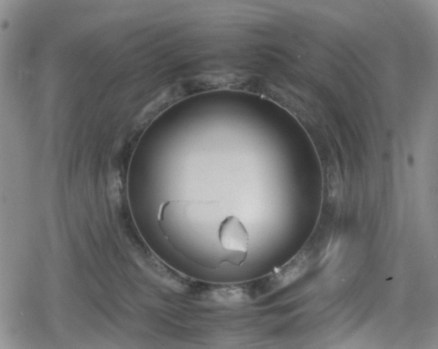 X0000078840279200611201321