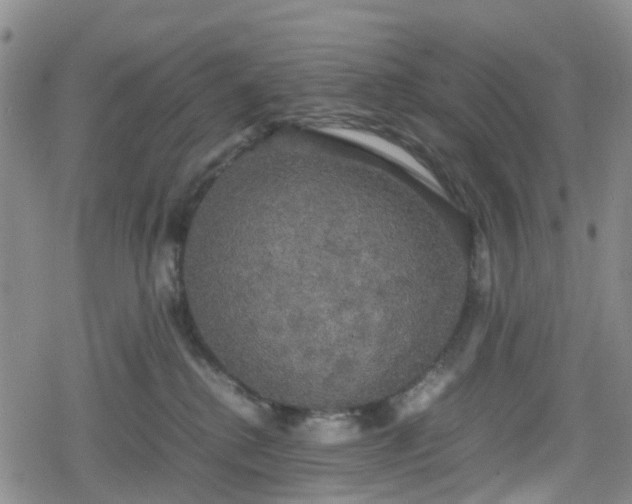 X0000078840280200611201321