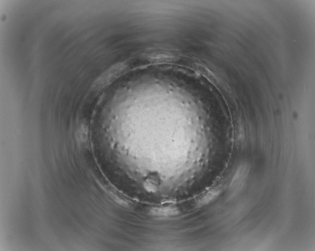 X0000078840281200611201321