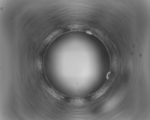 X0000078840282200611201321