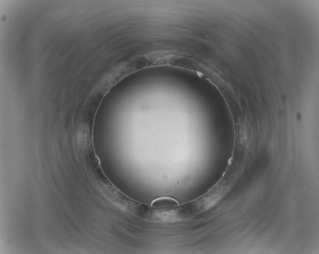 X0000078840283200611201321