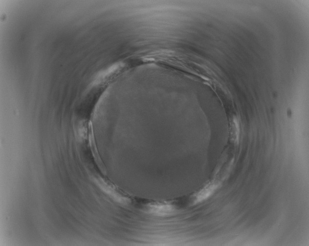 X0000078840284200611201321