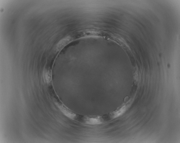 X0000078840285200611201321