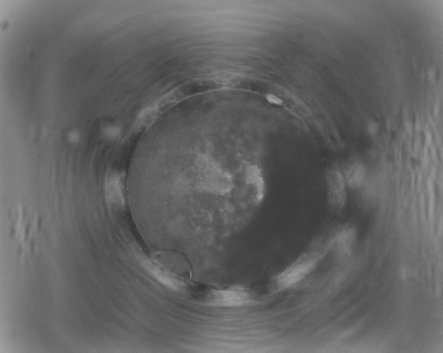 X0000078840286200611201321