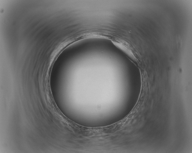 X0000078840289200611201320