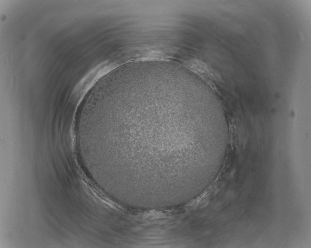 X0000078840290200611201320