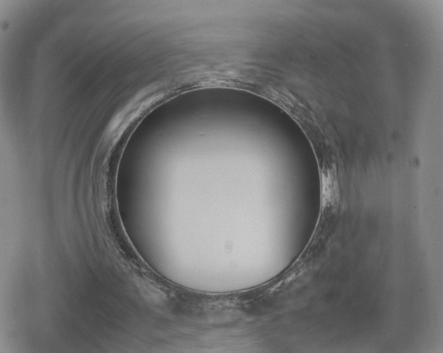 X0000078840291200611201320