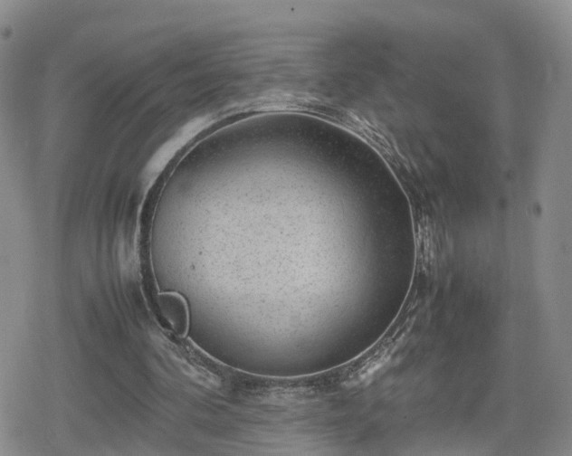 X0000078840292200611201320