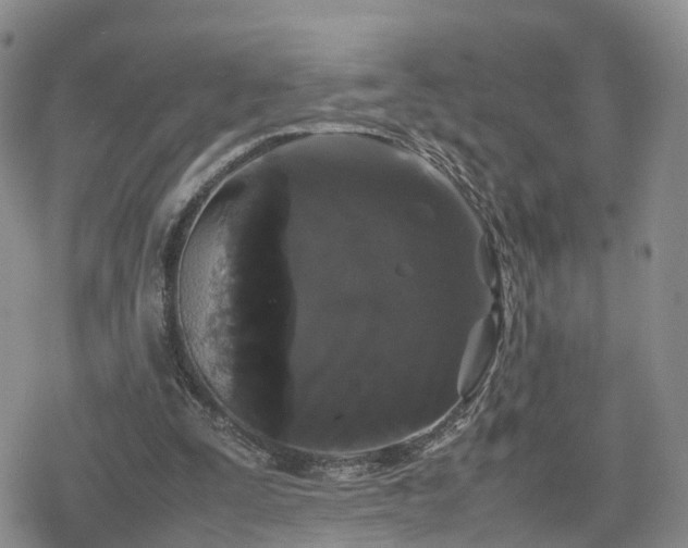 X0000078840295200611201320