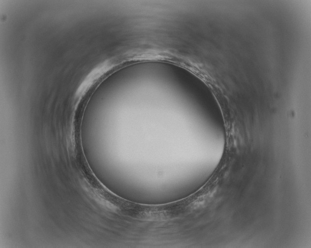 X0000078840296200611201320