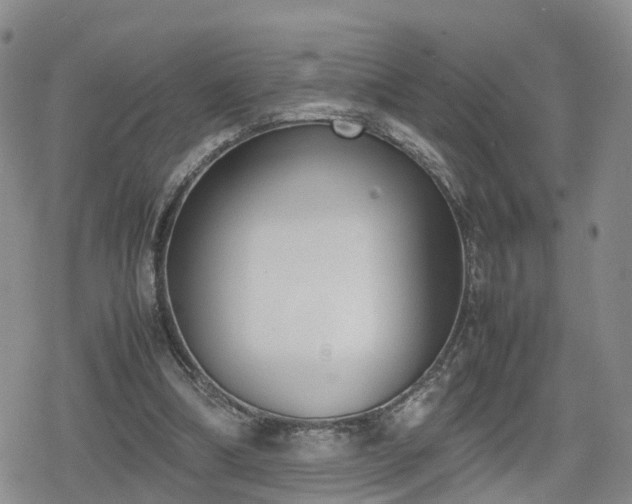 X0000078840298200611201320