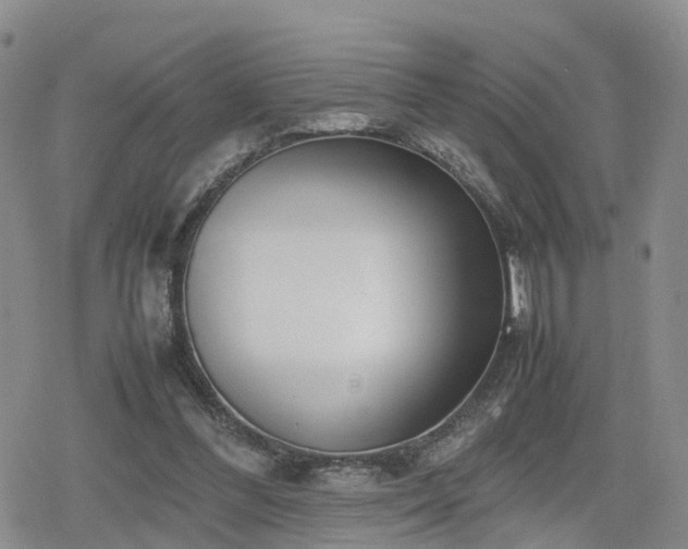 X0000078840300200611201320