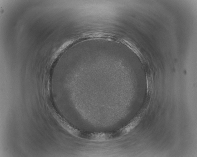 X0000078840301200611201320