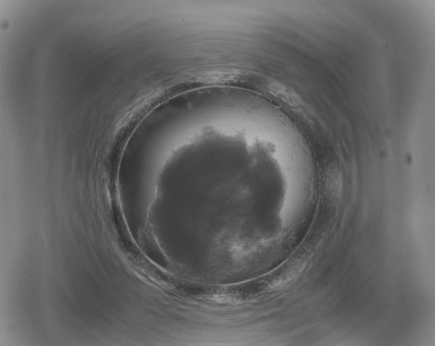 X0000078840303200611201320