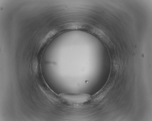 X0000078840304200611201320