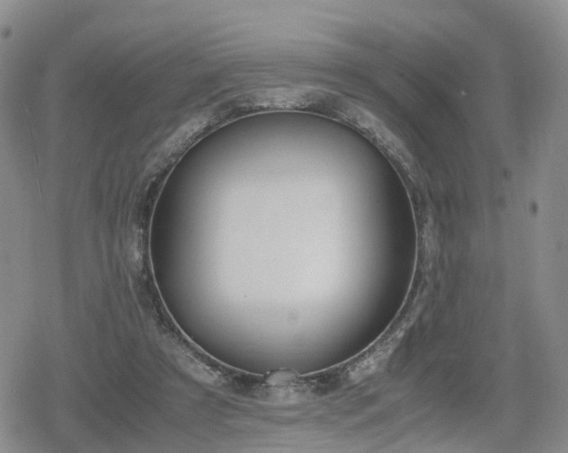 X0000078840305200611201320