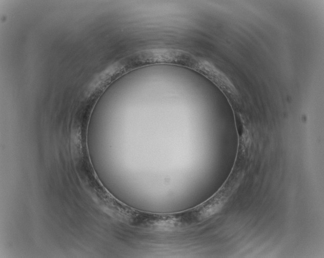 X0000078840306200611201320