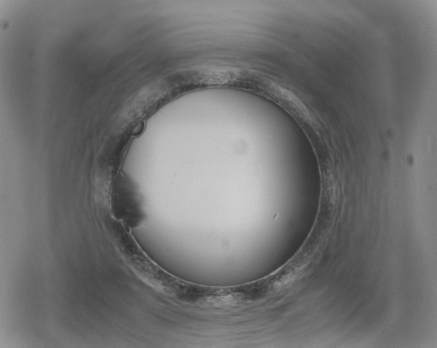 X0000078840307200611201320