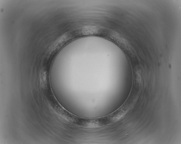 X0000078840308200611201320