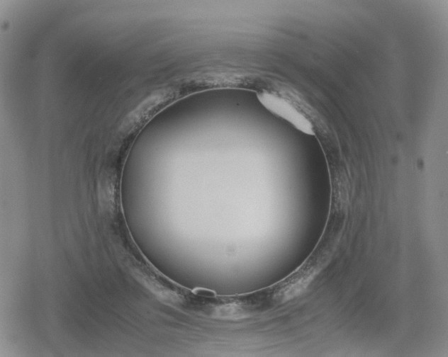 X0000078840309200611201320