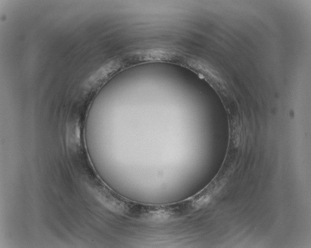 X0000078840310200611201320