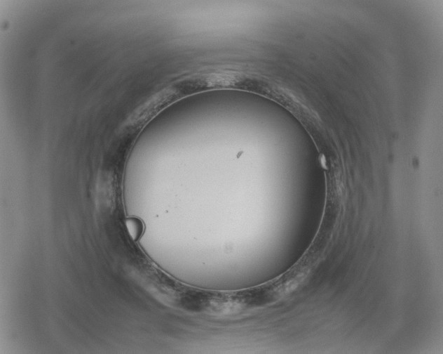 X0000078840311200611201320