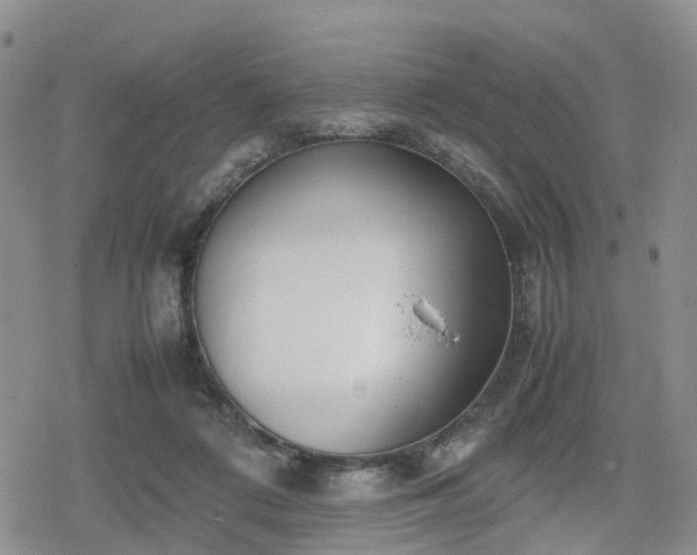 X0000078840312200611201320