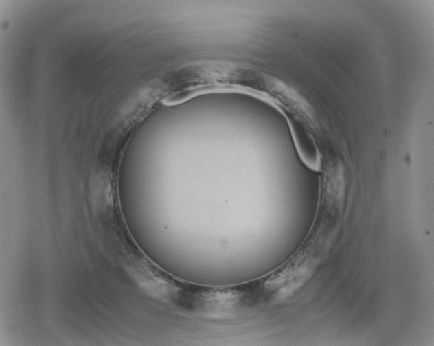 X0000078840313200611201320