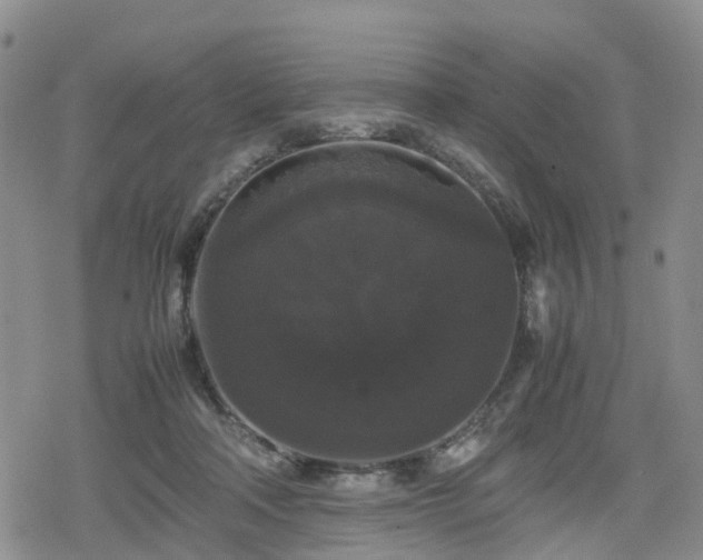 X0000078840314200611201320