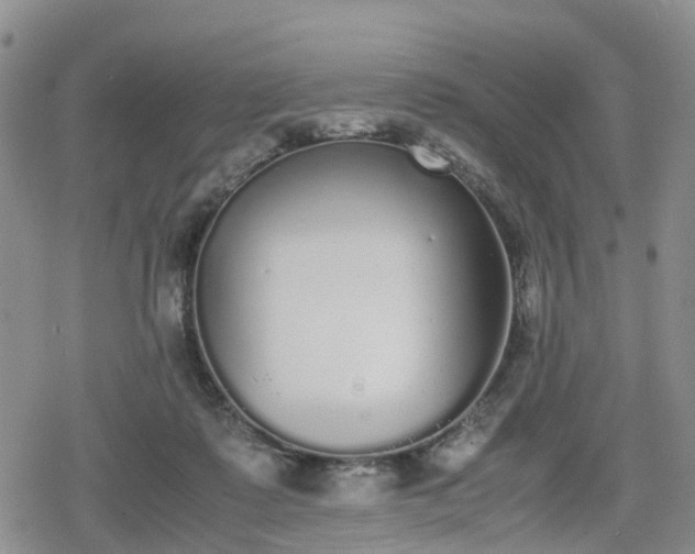 X0000078840315200611201320