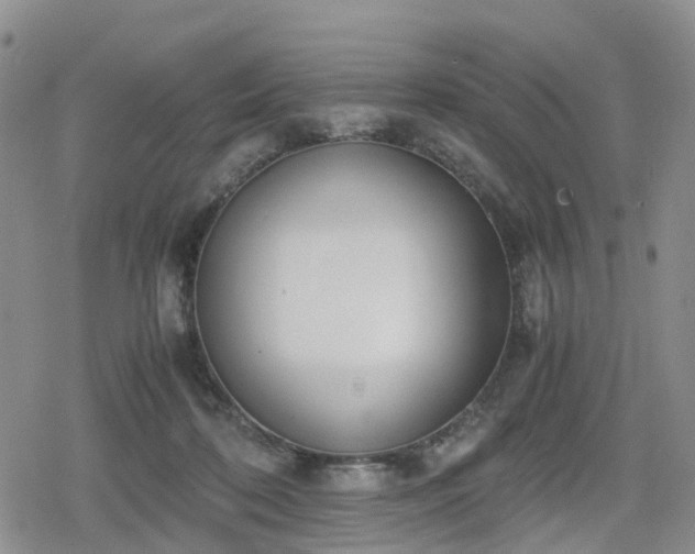 X0000078840316200611201320