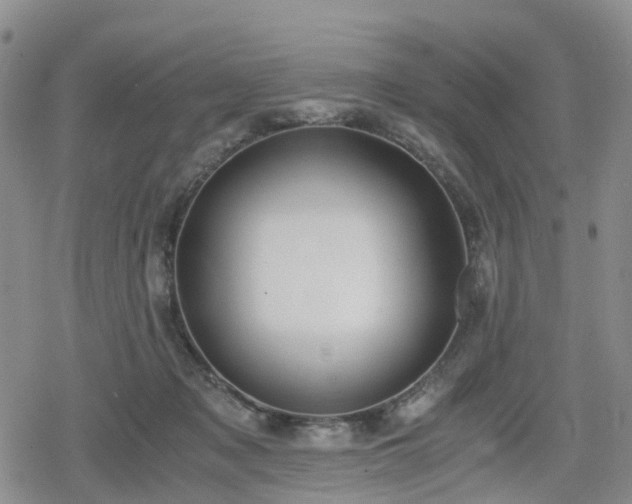 X0000078840317200611201320